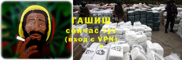 трава Коряжма