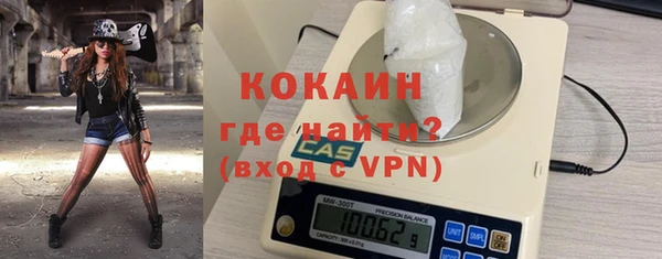 трава Коряжма