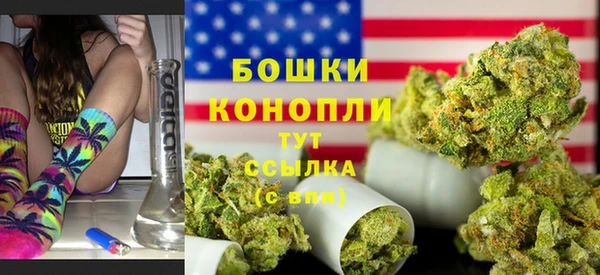 стафф Галич
