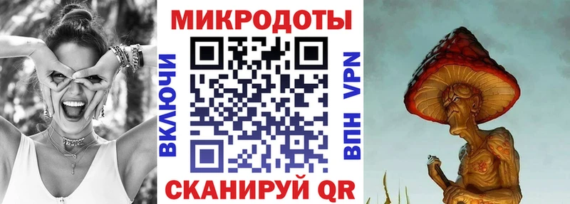 Галлюциногенные грибы Psilocybe  Котовск 