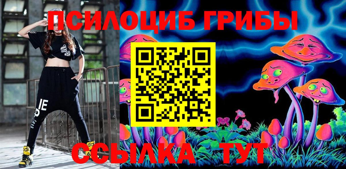 Псилоцибиновые грибы Psilocybine cubensis  Вход с VPN  Котовск  Псилоцибиновые грибы Magic Shrooms 