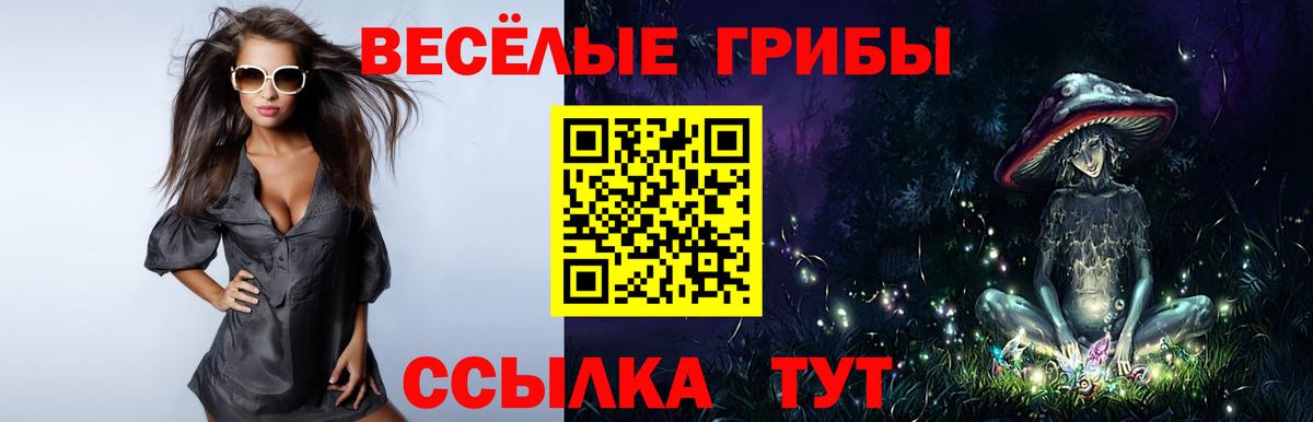 Псилоцибиновые грибы мухоморы Котовск